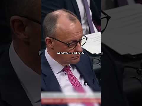 Rolf Mützenichs Brandrede gegen Merz' schwarz-blaue Zusammenarbeit