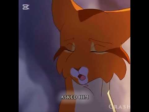 Sad warrior cat edit 😢 #sad #warriorcats #cry #warriorcats #bluestar #fireheart