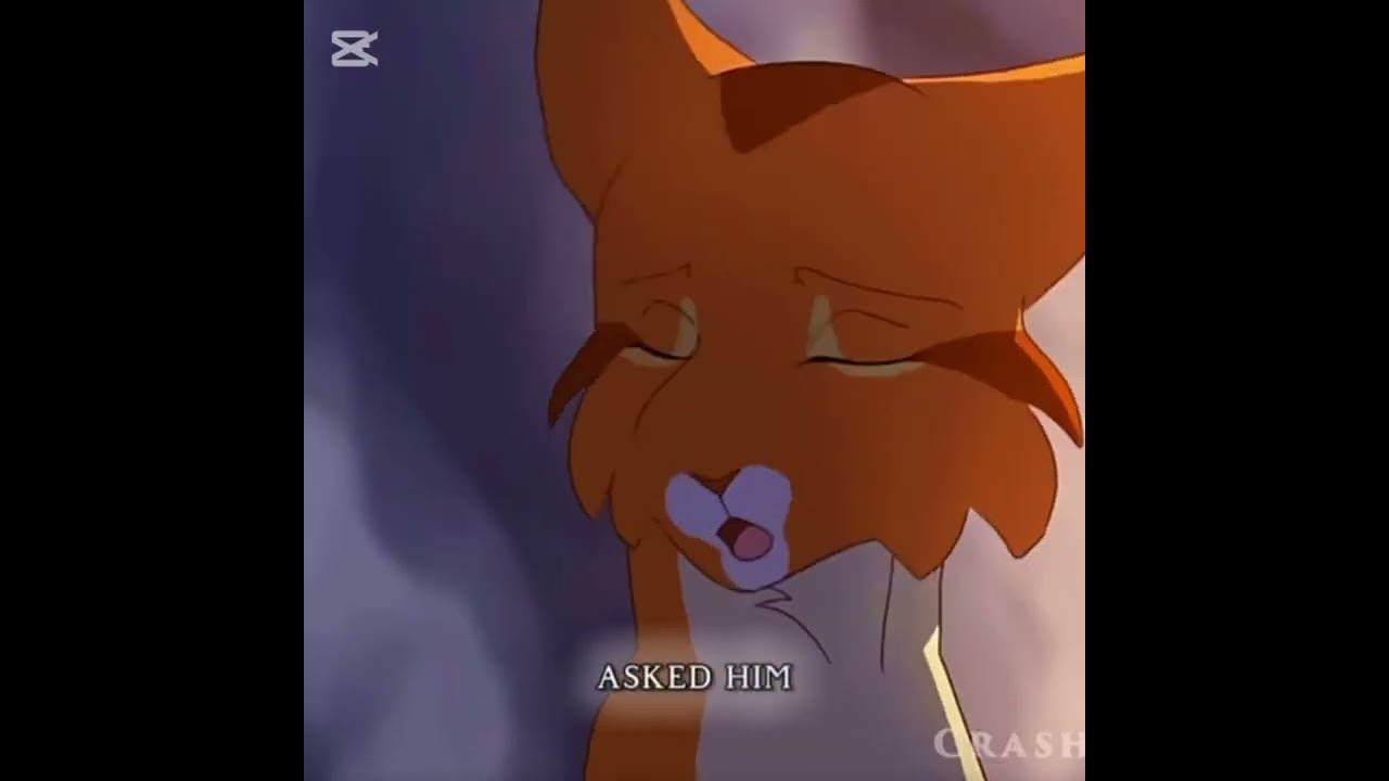 Emotional Warrior Cats Edit 😢 | Heartfelt Moments with Bluestar & Fireheart