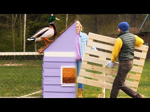 DIY Duck Home: Crafting a Custom Wooden Pallet Duck House ๐ฆ๐