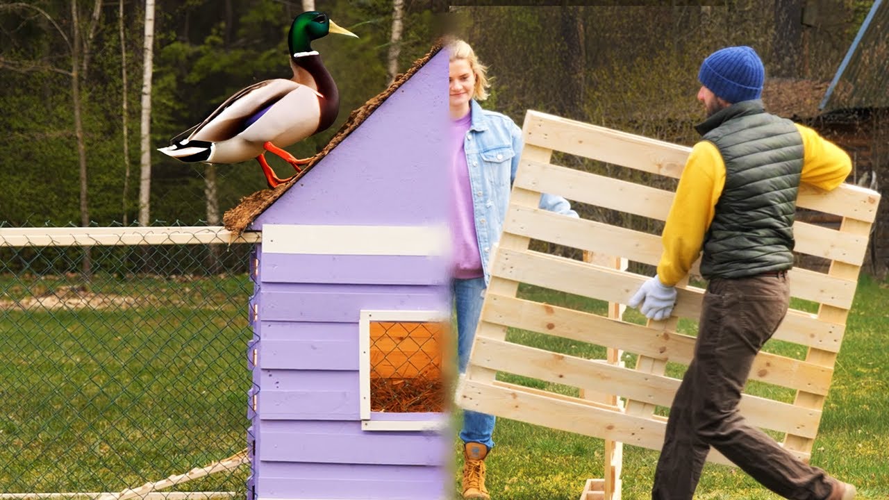 DIY Wooden Pallet Duck House: Crafting a Custom Shelter for Your Quacking Friend