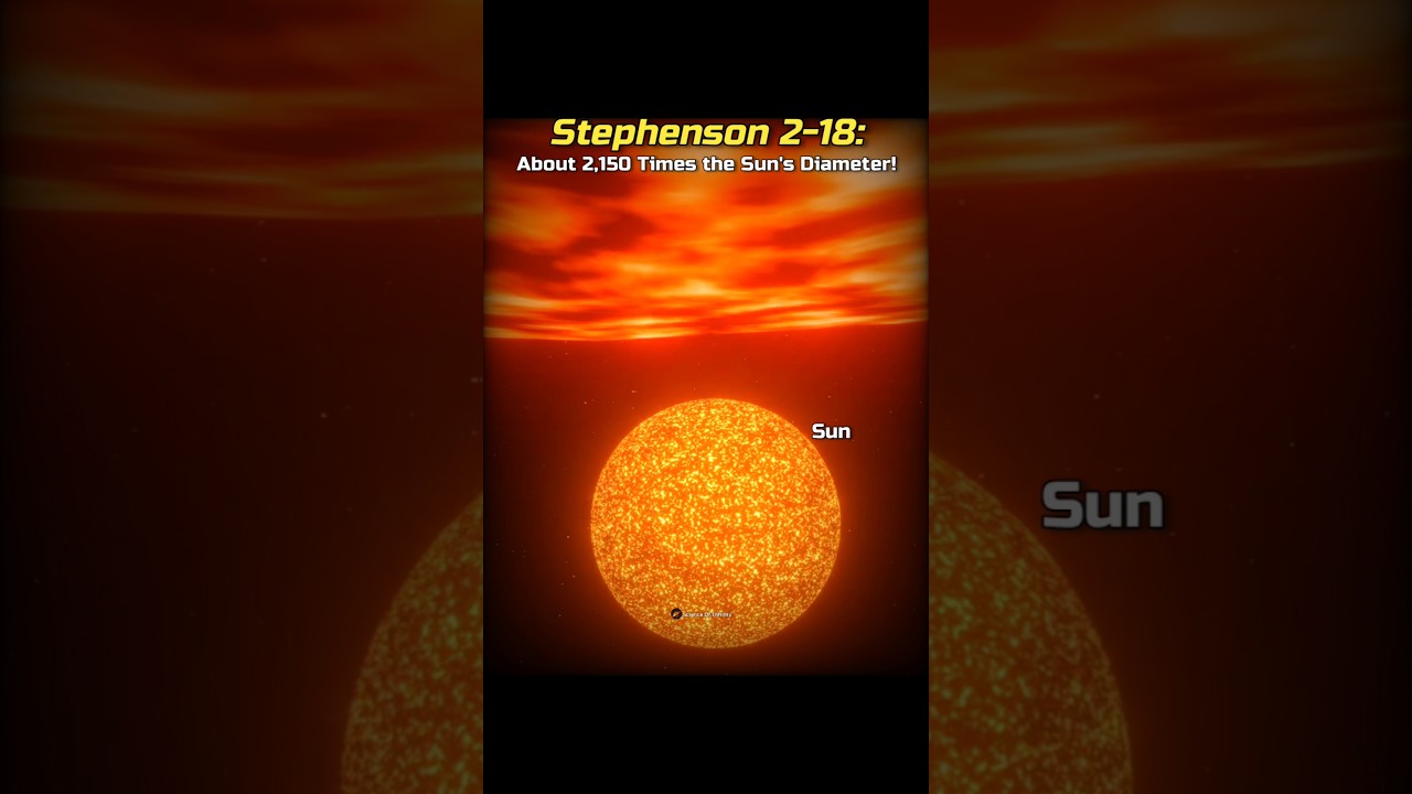 The Largest Star in the Universe! 🌟