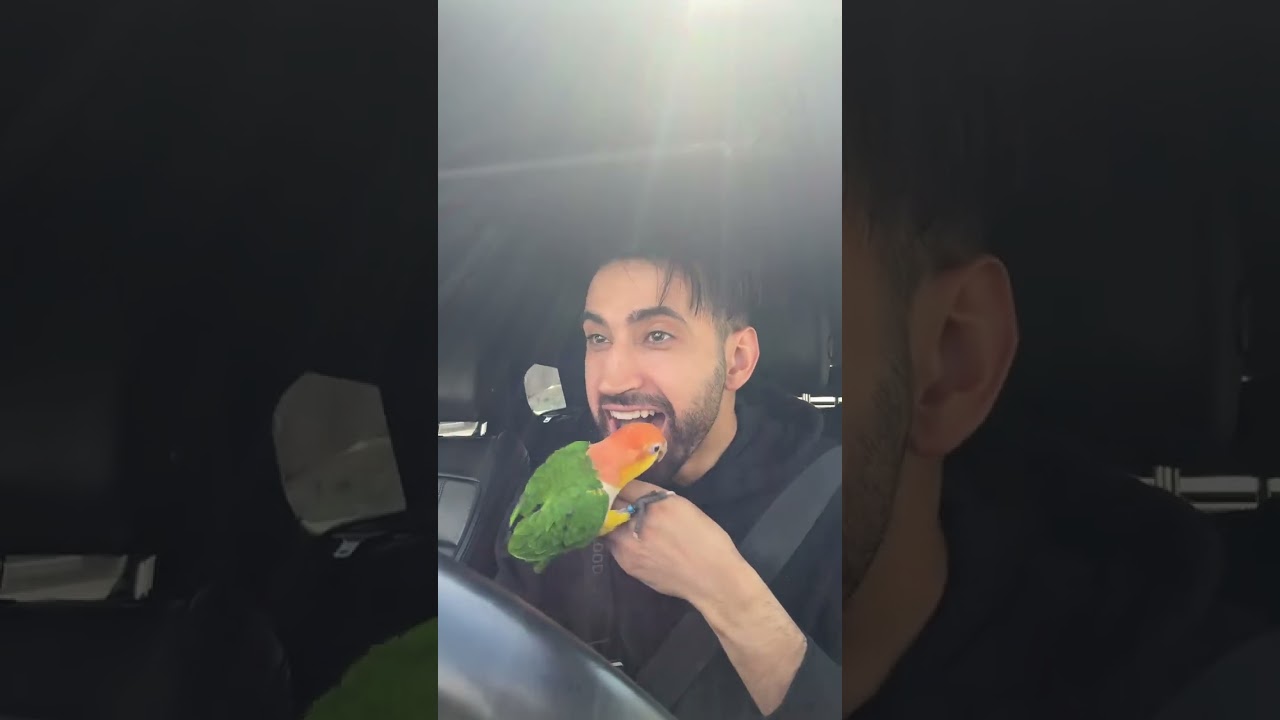 Habbat Abdelillah: A Notable Figure