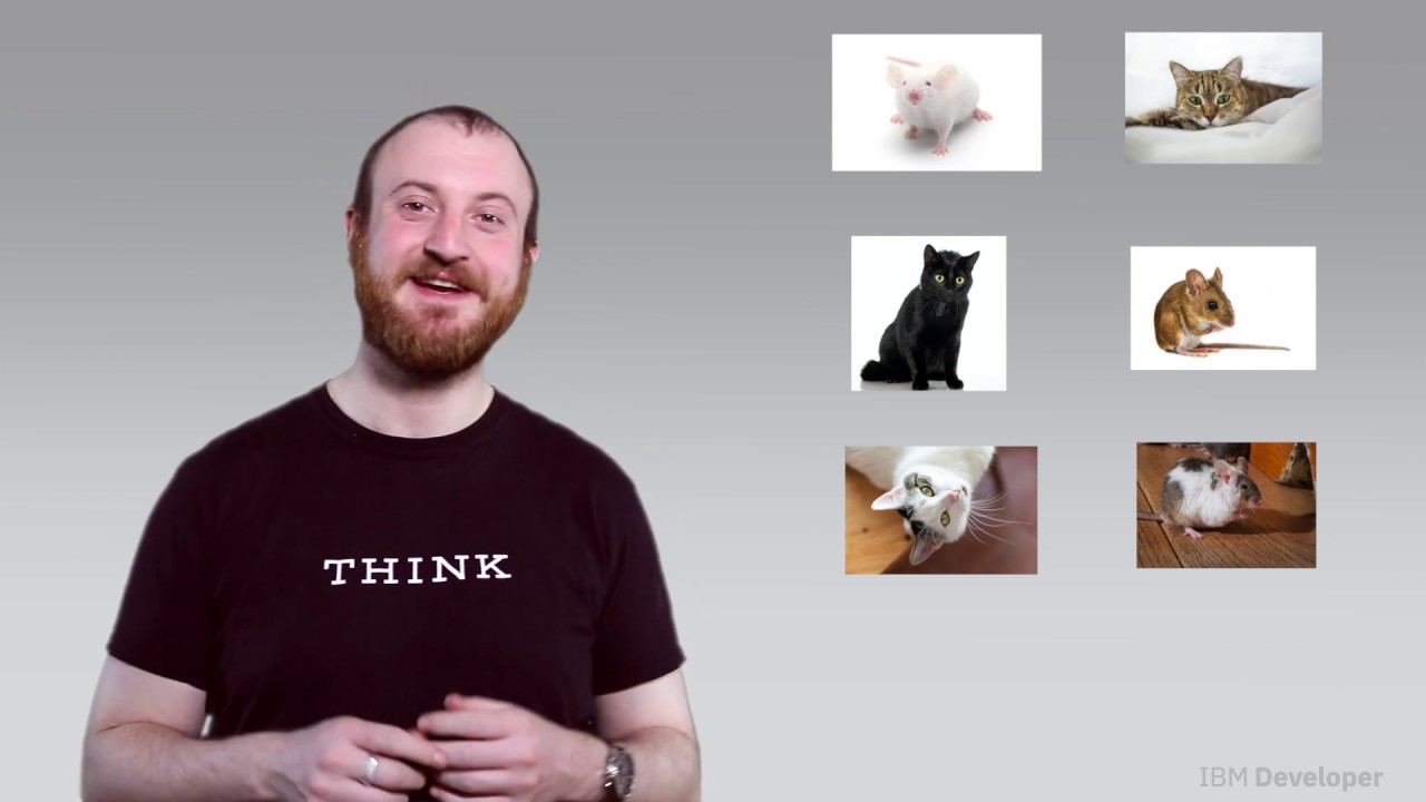 Deep Learning vs. Machine Learning: Key Differences Explained 🤖