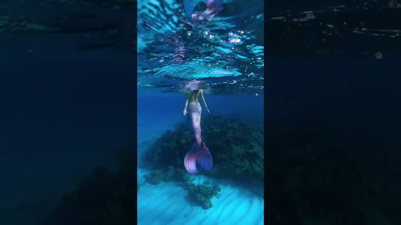 A real mermaid sits at the oceans surface… #mermaid #beach #ocean #bahamas #travel #underthesea #h2o