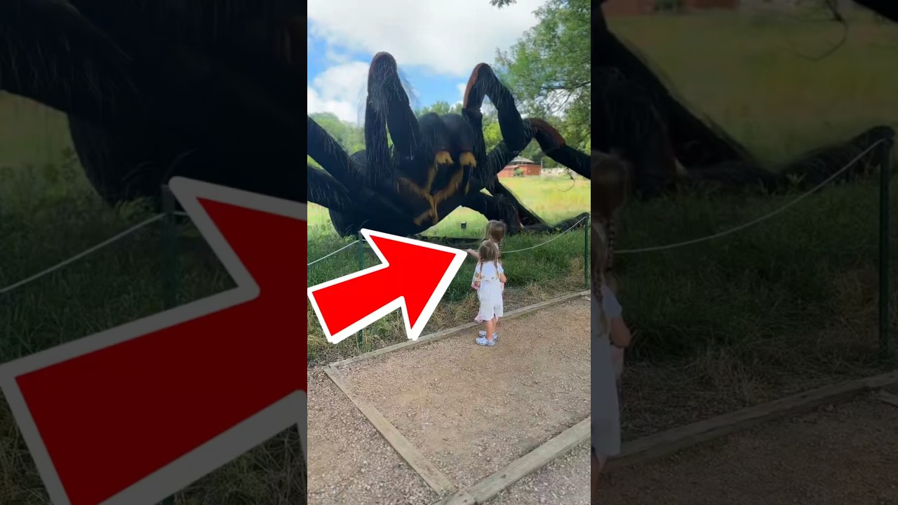 Gruseligste Meeresbewohner 😱