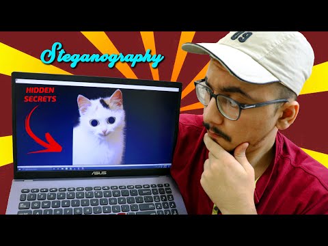 Steganography - Hide Messages In Images | Secrets Msg | Hindi