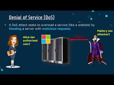 Denial of Service (DoS and DDoS) Attacks