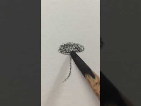 Pencil Drawing that makes you think, dog nose