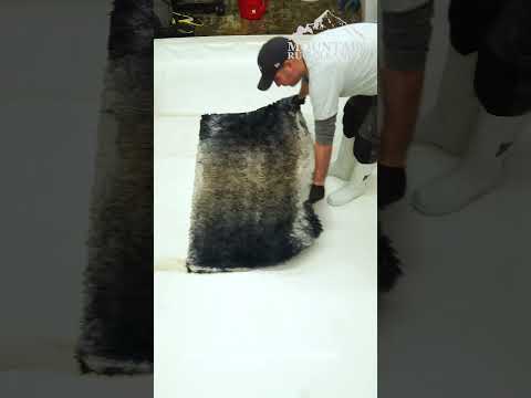 One Minute Of Wonder : Another AMAZING Transformation For All You Rug Cleaning Fans! #shorts