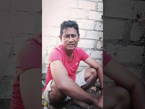 konten hiburan - haruskah aku nikah lagi🤣 #videolucu #funny #seharianlucu #comedy #gudanghiburan