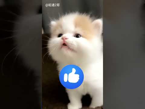 He helped in this village #telugu #telugushorts