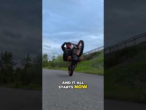 Best Cheap Tuttio Upgrades!