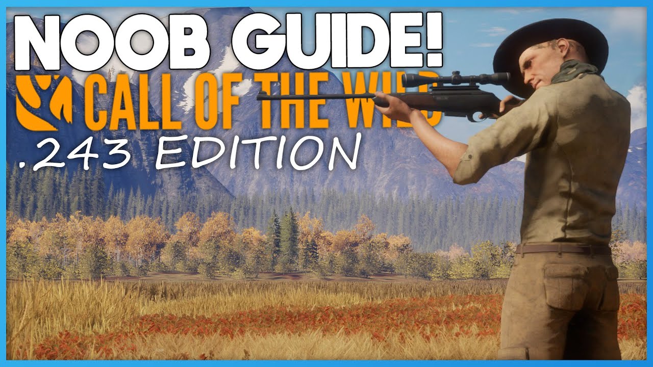 .243 Noob Guide! | theHunter: Call Of The Wild