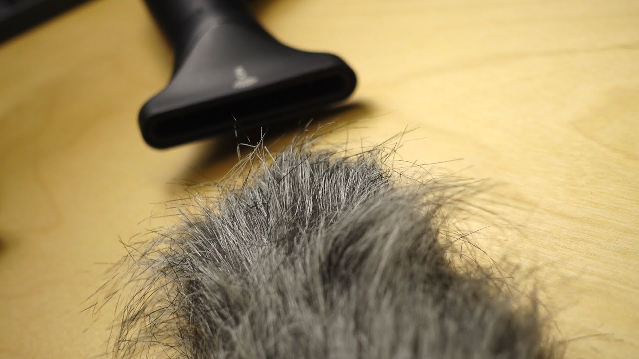 헤어 드라이기 소리 5시간 🎧