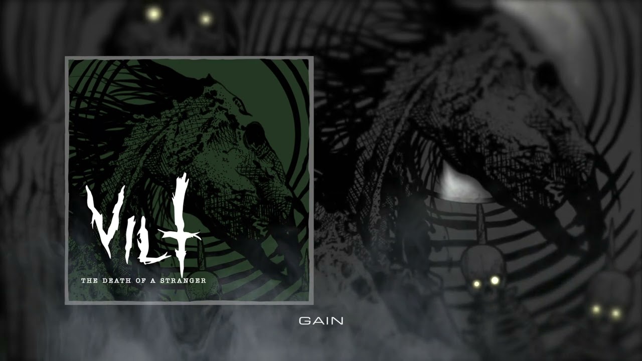 VILT - The Death of A Stranger (Visualizer) 🎸