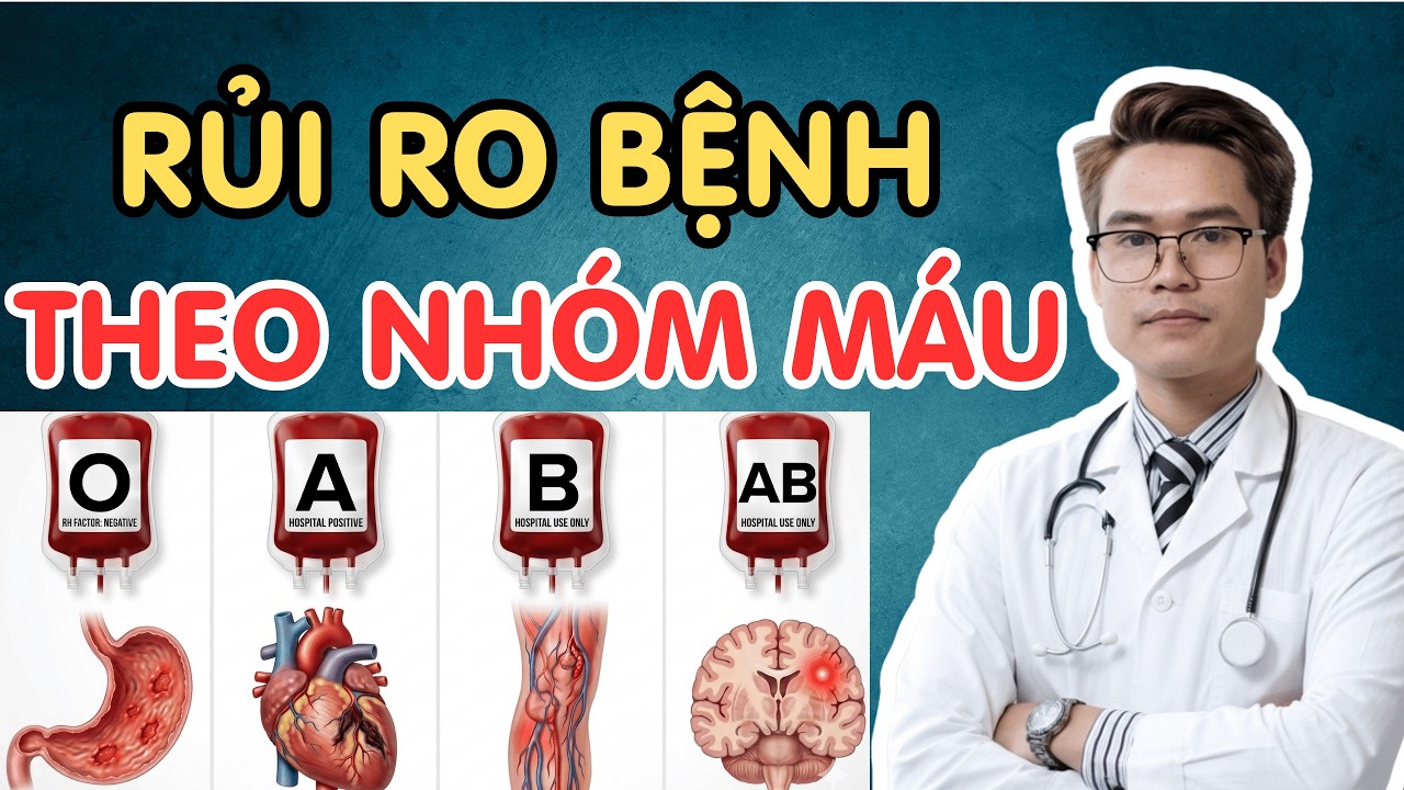 Nhóm Máu Ảnh Hưởng Đến Đời Bạn? 🩸