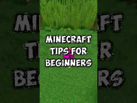 Beginner Minecraft Tips & More! 🎮