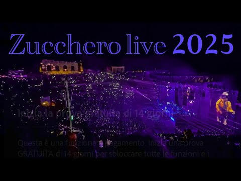 Zucchero Live 2025 at Verona Arena 🎶