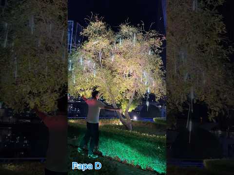 #enjoythemoment #shorts