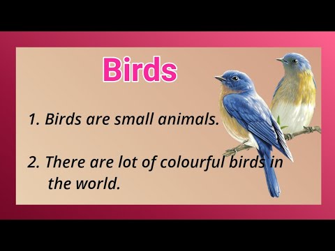 10 Lines on Birds 🐦