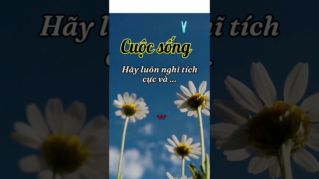 Luôn Nghĩ Tích Cực để Đời Tươi Sáng ✨