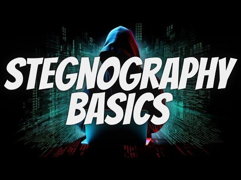 Steganography Basics For CTF | Tamil | ShaZ University