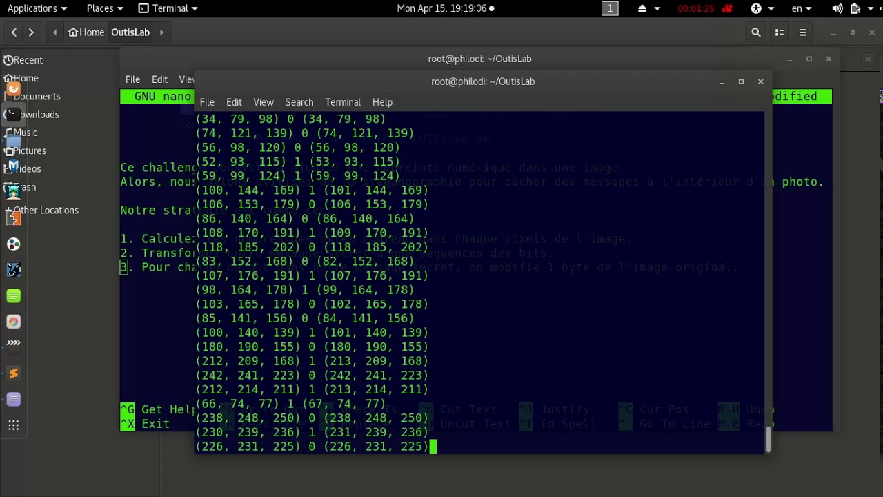 Steganography - Concealing Text Messages Within Image Files