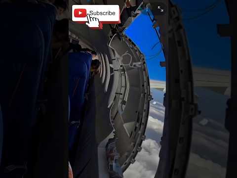 OMG 💥✈️ Plane Crash Hogya | Plane Crashes #shortsfeed #shorts #viralvideo #birdtrend