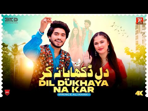 Dil Dukhaya Na Kar | Prince Ali Khan | Emotional Saraiki Music Video 2025 🎶
