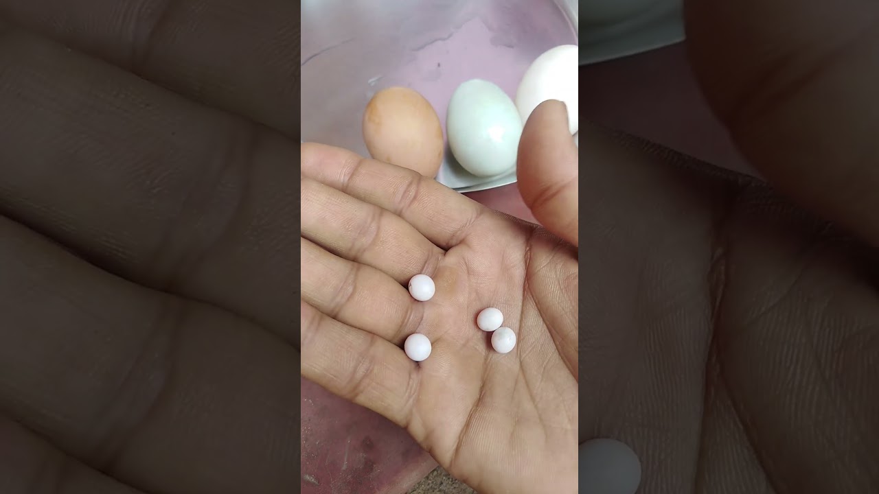 Miniature Eggs 🥚