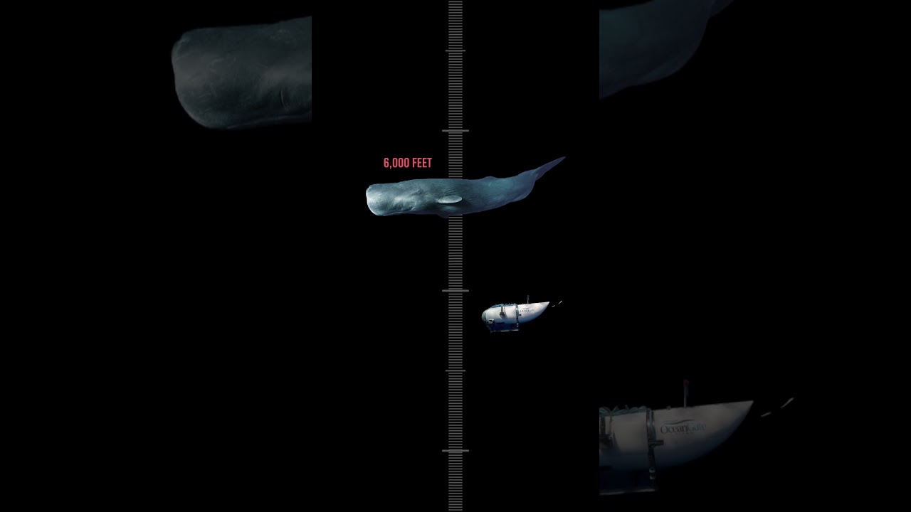 How Deep Is Titanic? 🚢 Search for Lost Submarine