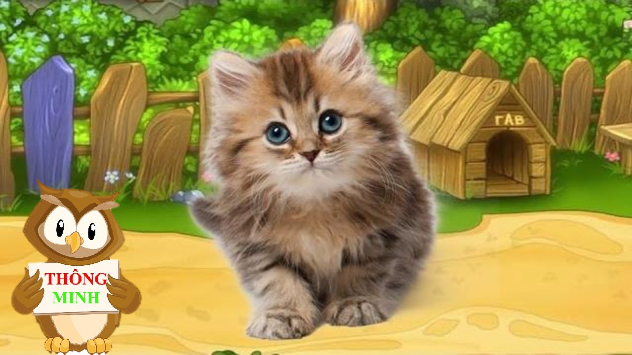 Học Con Vật & Tiếng Kêu Cho Bé 🐱🦋