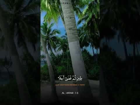 Abdullah Mubarok Murottal Alqur’an