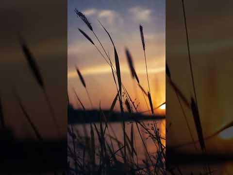 channa ve assi marjawange Song ❤️💕