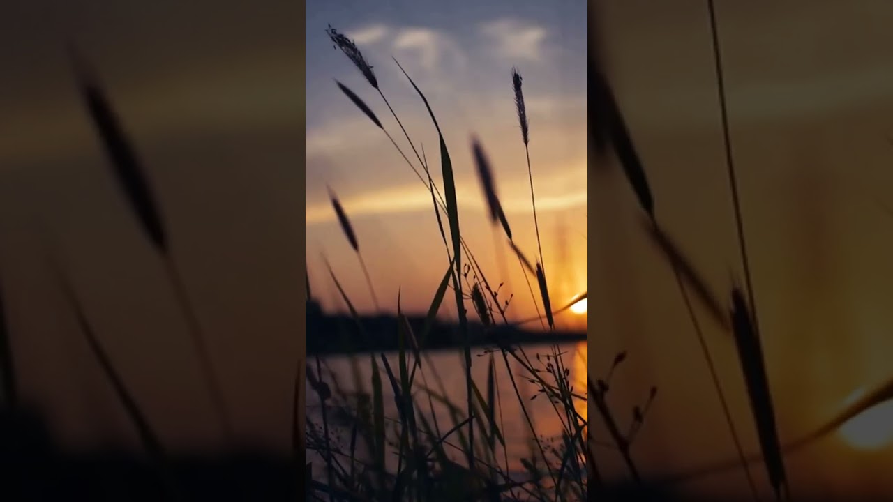 Channa Ve Assi Marjawange Song 🎶 | Soulful Melodies & Traditional Vibes