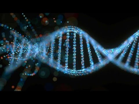 DNA | Simply Explained | DHS | Encryption | Decryption