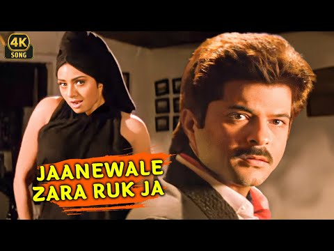 Jaanewale Zara Ruk Ja ❤ | Roop Ki Rani Choron Ka Raja (1993)| Sridevi & Anil Kapoor Romantic 4k Song
