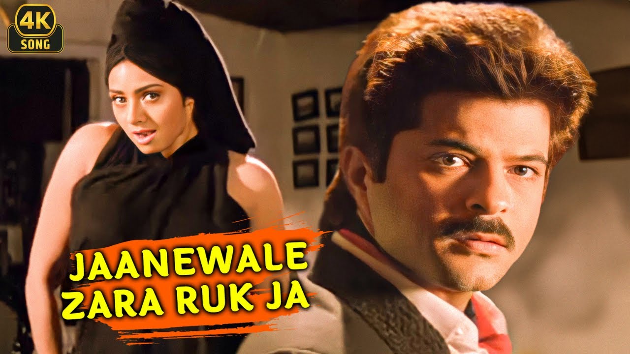 Jaanewale Zara Ruk Ja ❤ | Roop Ki Rani Choron Ka Raja (1993)