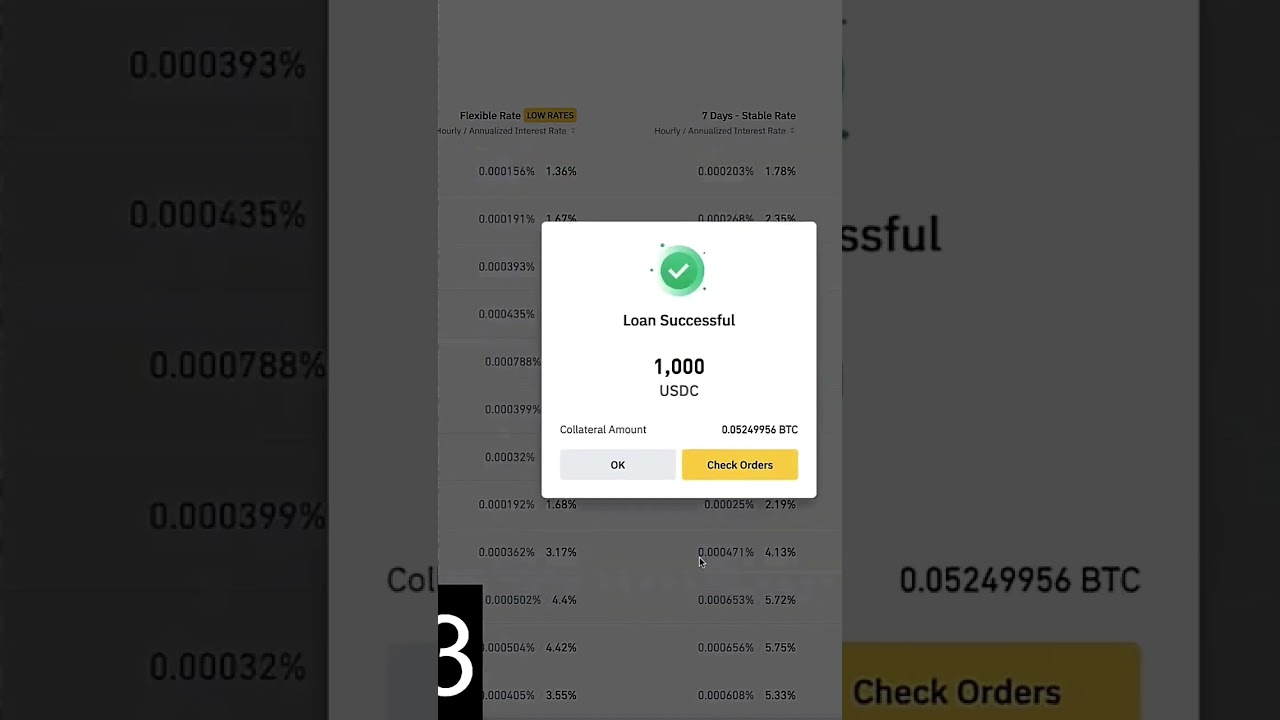 How I Got a Binance Loan (Crypto Loans)