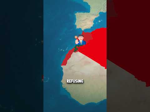 What if Tunisia tried to revive the ancient Carthaginian Empire? 🌍