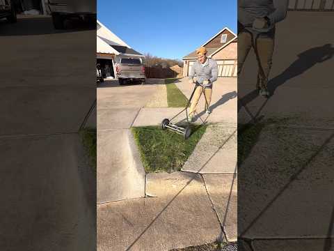 Tiny Lawn Renovation