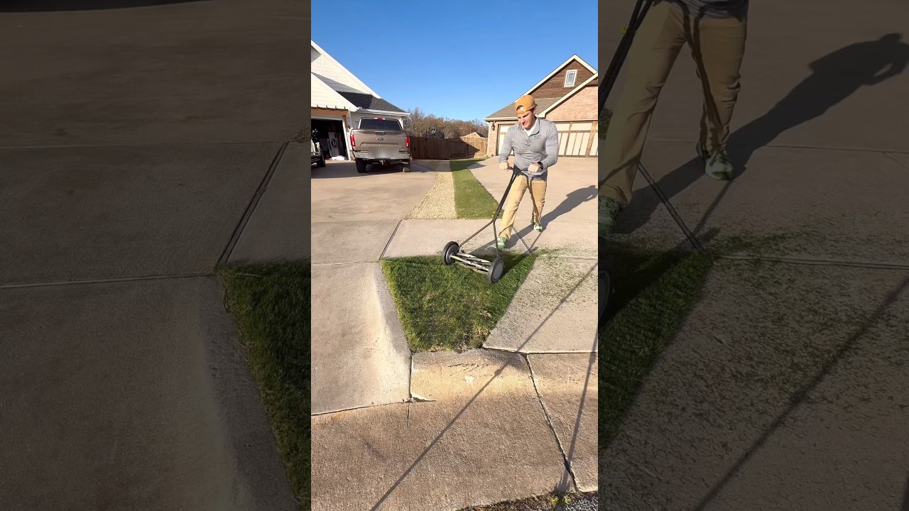 Small Lawn Makeover 🌱