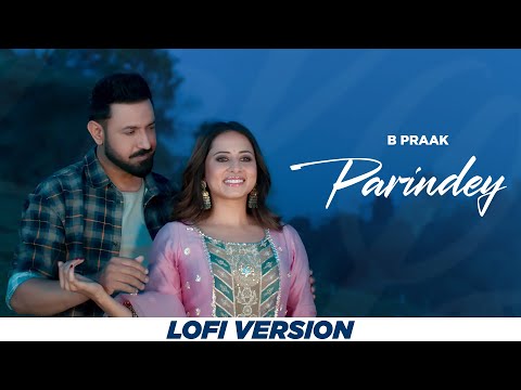 Parindey (Lofi) | B Praak | Gippy Grewal ,Sargun Mehta | DJ Dalal London | Latest Punjabi Songs 2024