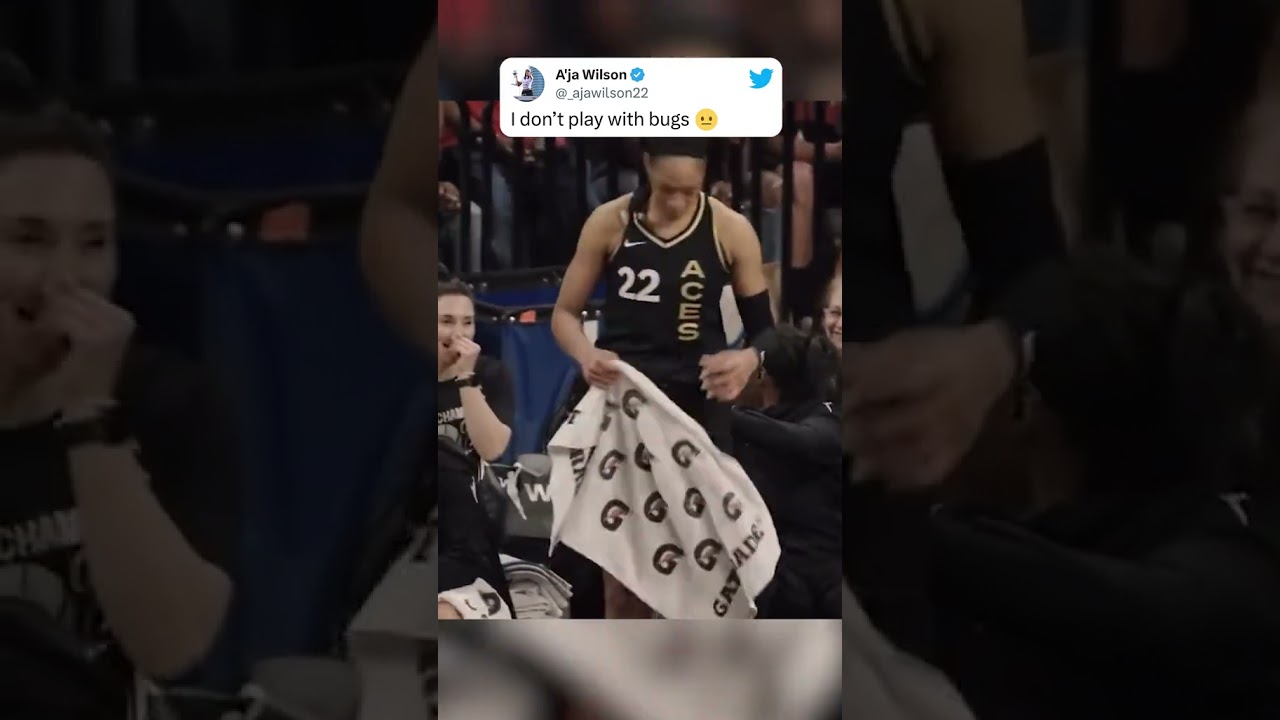 A'ja Wilson Confronts a Bug 😅