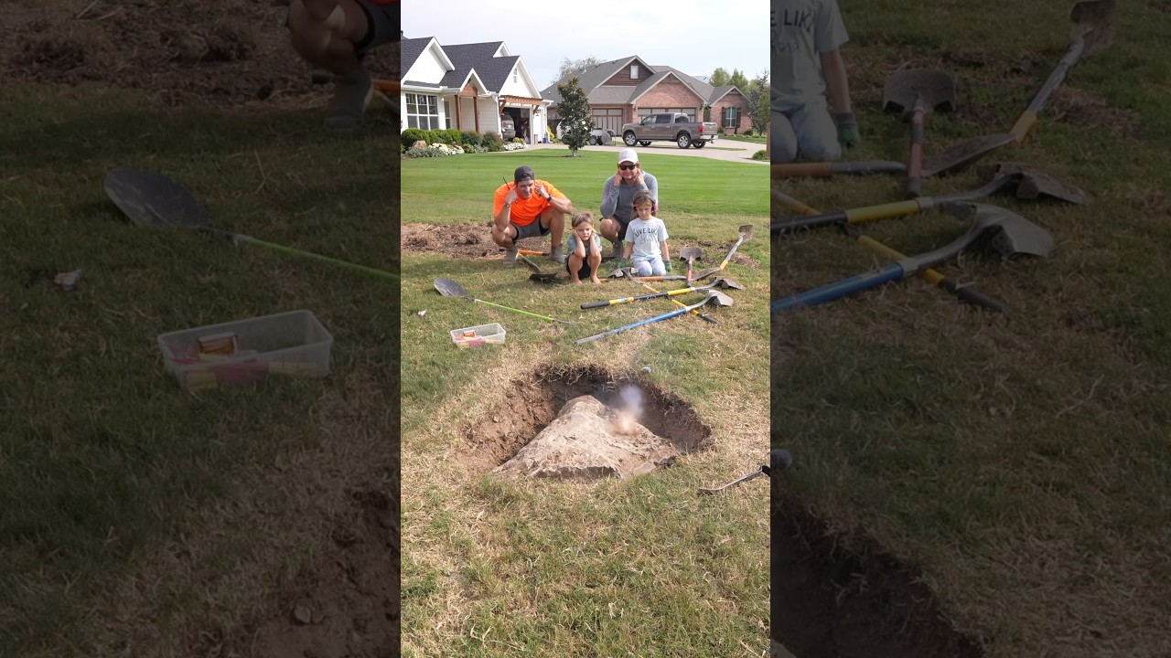 Large Rock in My Lawn 🪨