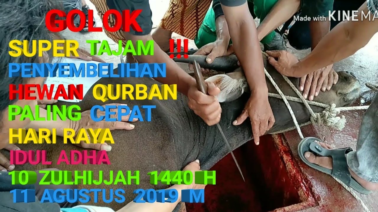 Qurban Hari Raya Idul Adha 1440 H/2019 π