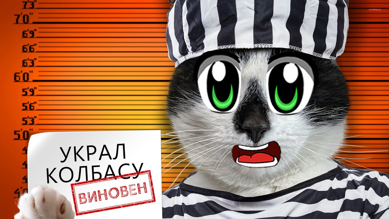 Побег из тюрьмы Челлендж: все серии и финал соревнования