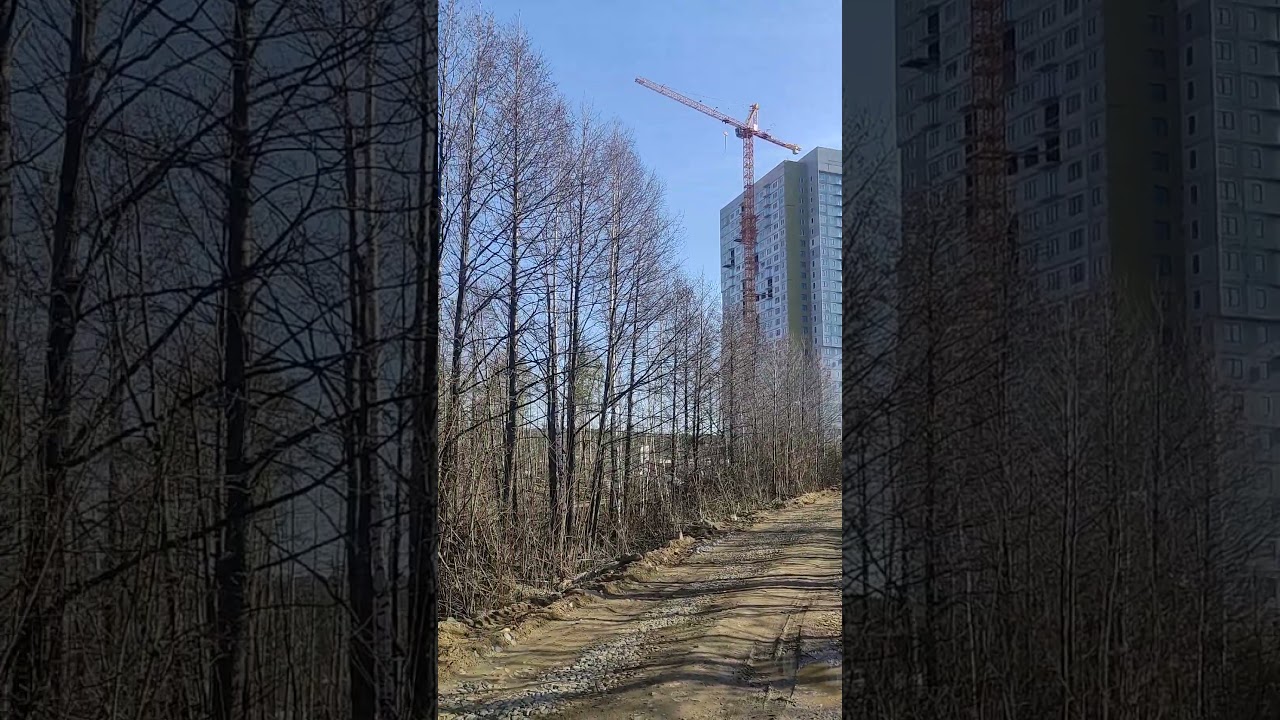 ЖК Зеленый остров: Современный жилой комплекс в живописном районе 🌿