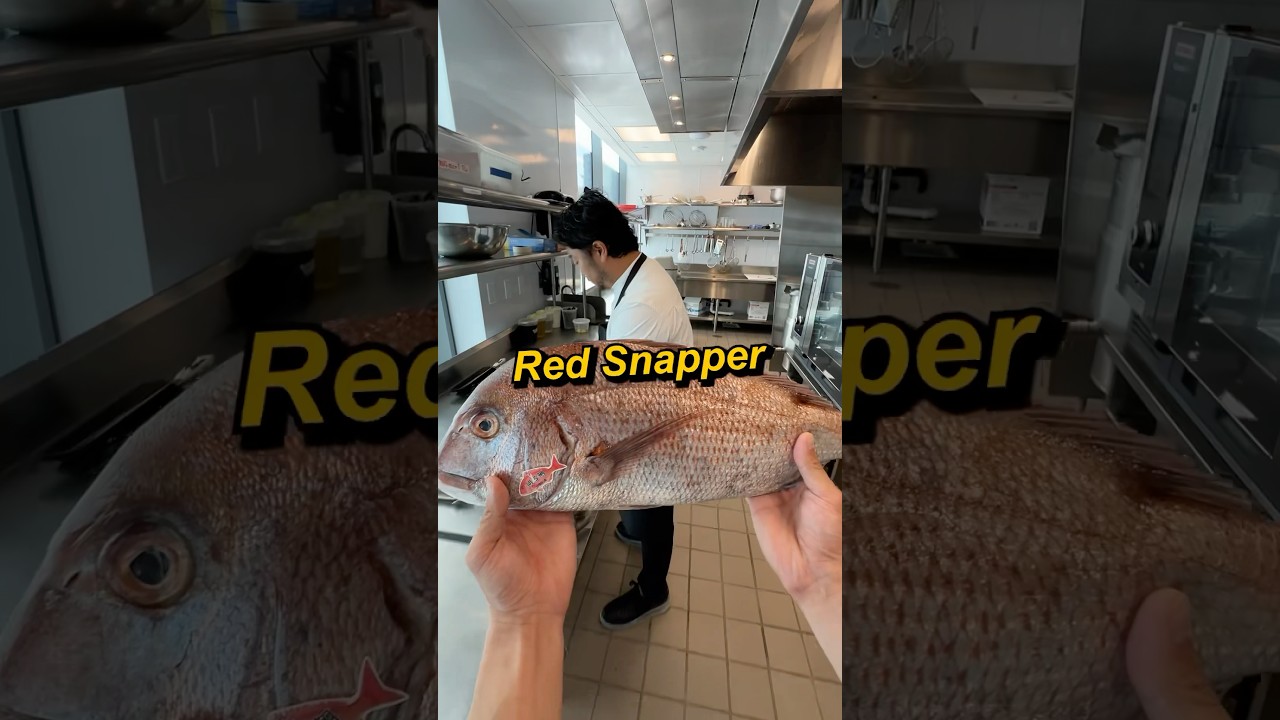 Red Snapper Gourmet: 3 Delicious Ways🐟